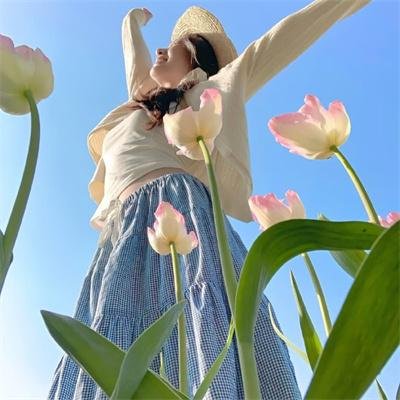 动物王国